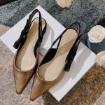Dior Shoes