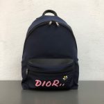 Dior KAWS Backpacks