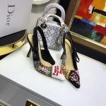 Dior Shoes