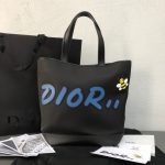 Dior kaws