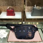 Fendi Belt Bag