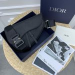 Dior saddle