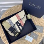 Dior saddle