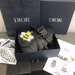 Dior saddle