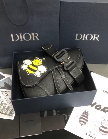 Dior saddle