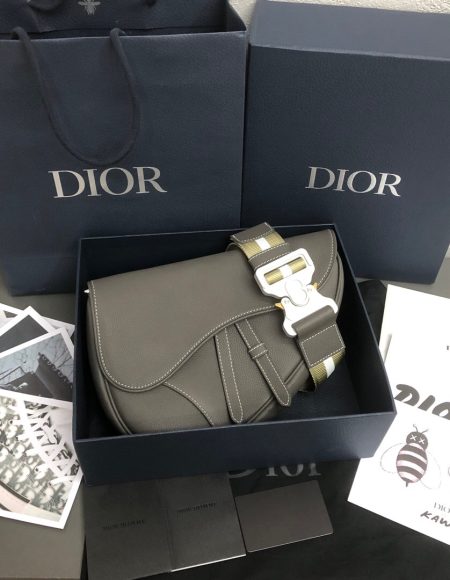 Dior saddle