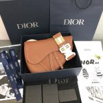 Dior saddle