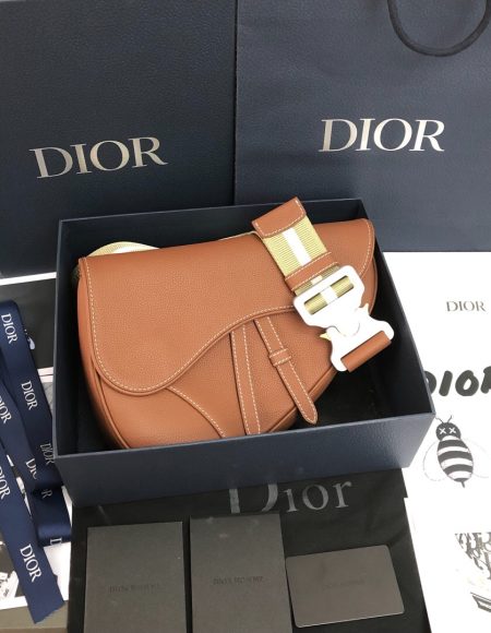Dior saddle
