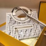Fendi RUNAWAY Bag