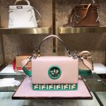 Fendi Kani Bag