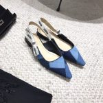 Dior Shoes