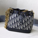 dior oblique