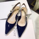 Dior Shoes