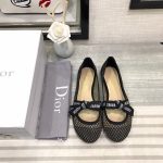 Dior Shoes