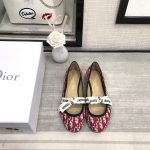 Dior Shoes