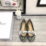 Dior Shoes
