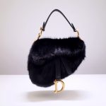 Dior saddle
