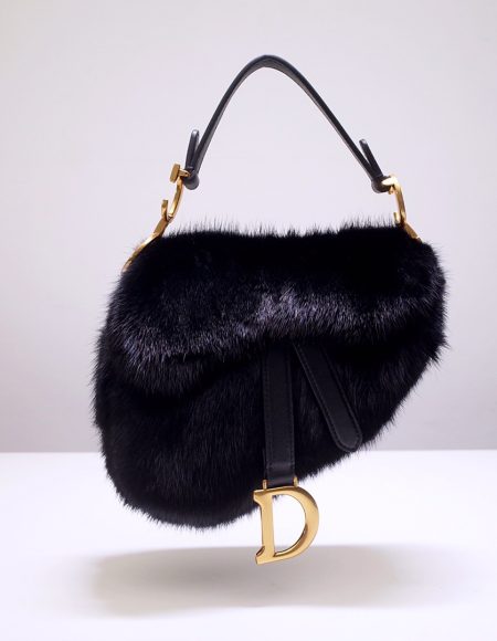 Dior saddle