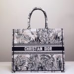 Dior Book Tote