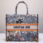 Dior Book Tote