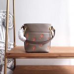 Chloe Roy Bucket bag