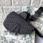 Dior saddle
