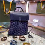 Goyard Backpacks