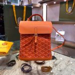 Goyard Backpacks