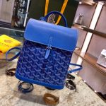 Goyard Backpacks
