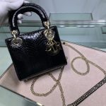 Lady Dior