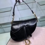 Dior Saddle