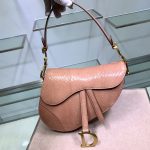 Dior Saddle