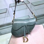 Dior Saddle