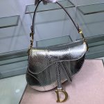 Dior Saddle
