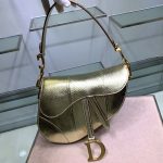 Dior Saddle