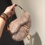 Dior Saddle