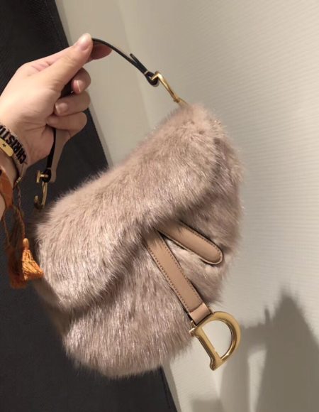 Dior Saddle