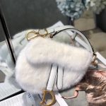 Dior Saddle