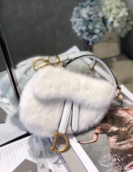 Dior Saddle