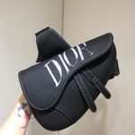 DIOR Saddle