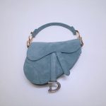 Dior saddle