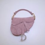 Dior saddle