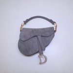 Dior saddle