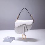 Dior Saddle Bag