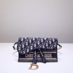 Dior Saddle Belt bag