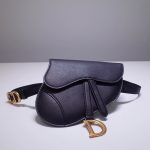 Dior Saddle Belt bag