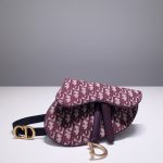 Dior Saddle Belt bag
