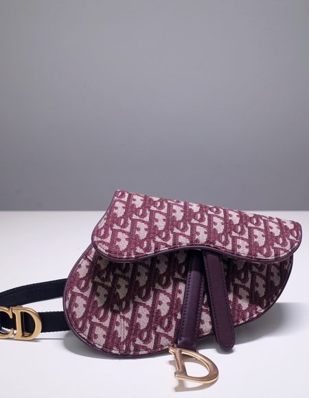 Dior Saddle Belt bag