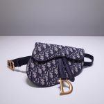 Dior Saddle Belt bag