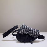 Dior Saddle Belt bag